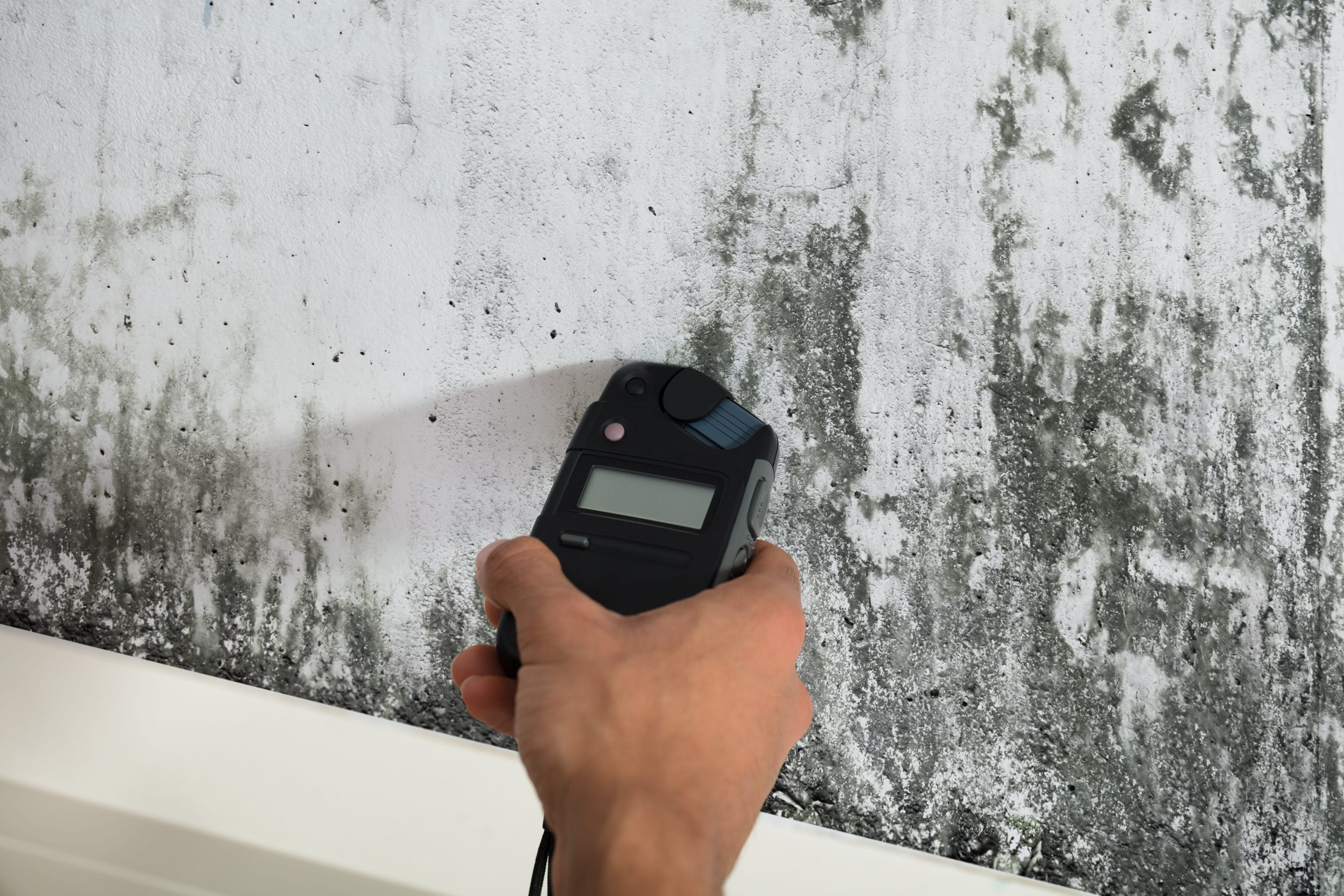 a hand holding a black mold testing device up to a white wall with black mold forming on it