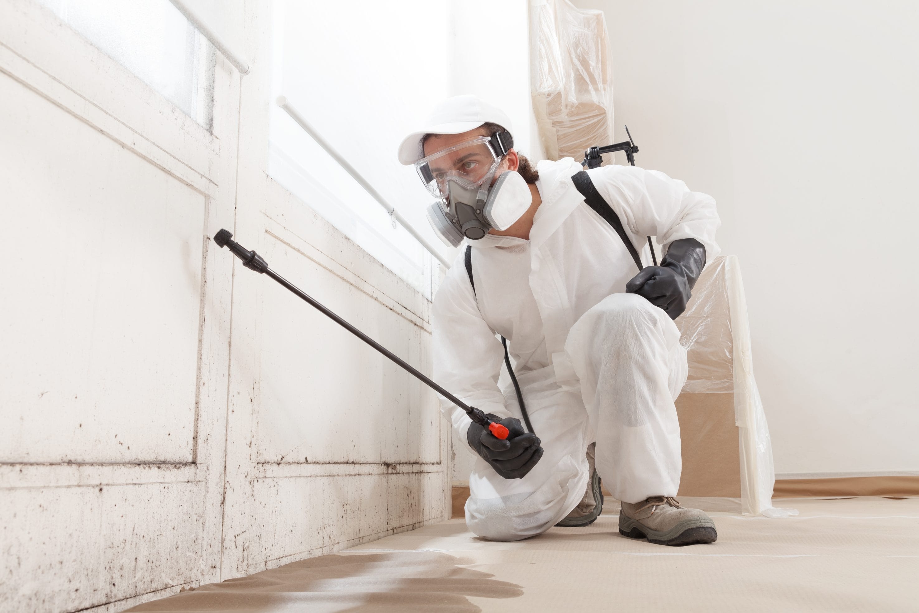 A person in a mask and goggles, along with gloves and white protective clothing. They're using mold remediation equipment on a white wall covered with mold.