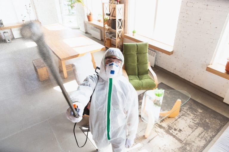 A professional mold remediation in progress.
