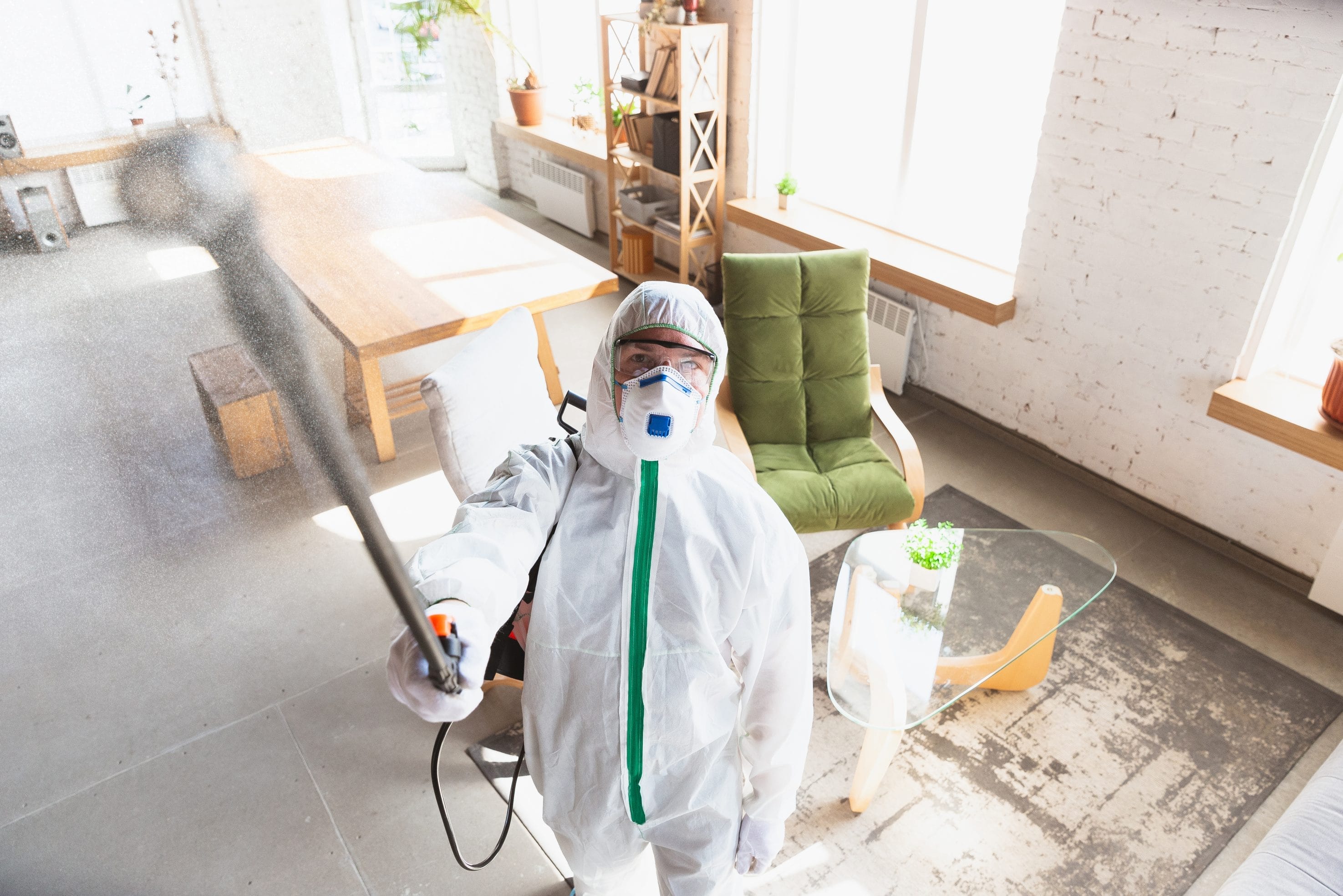 A professional mold remediation in progress.